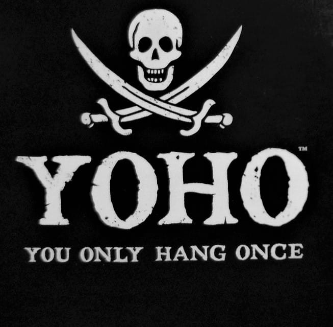 Can You Survive the High Seas Mayhem, Mutiny, and More in YOHO (You